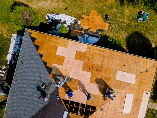 Best Roof Maintenance Services  in Boulder Hl, IL