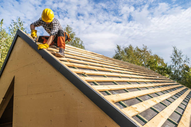 Best Roof Gutter Cleaning  in Boulder Hl, IL