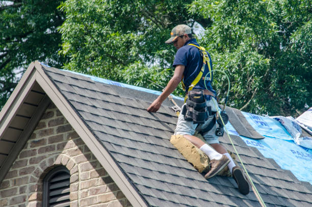 Best Affordable Roofing Company  in Boulder Hl, IL